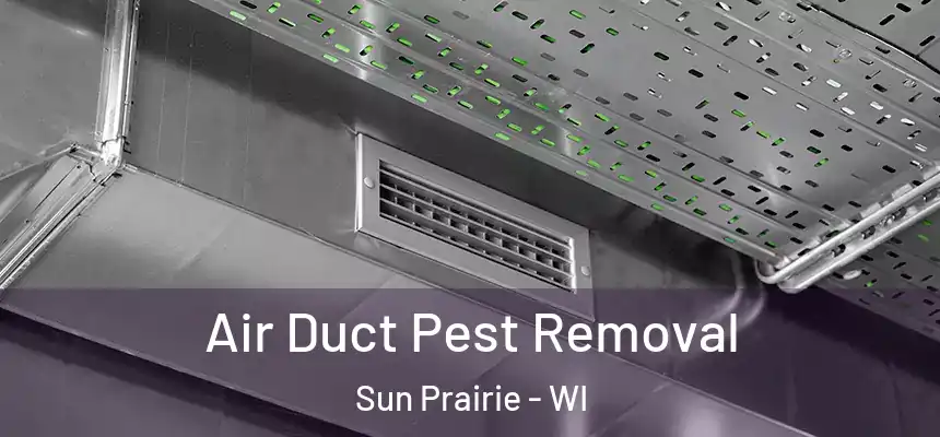  Air Duct Pest Removal Sun Prairie - WI