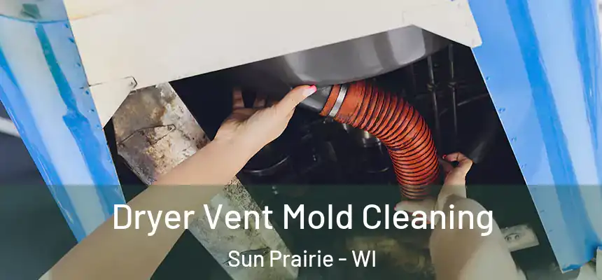 Dryer Vent Mold Cleaning Sun Prairie - WI