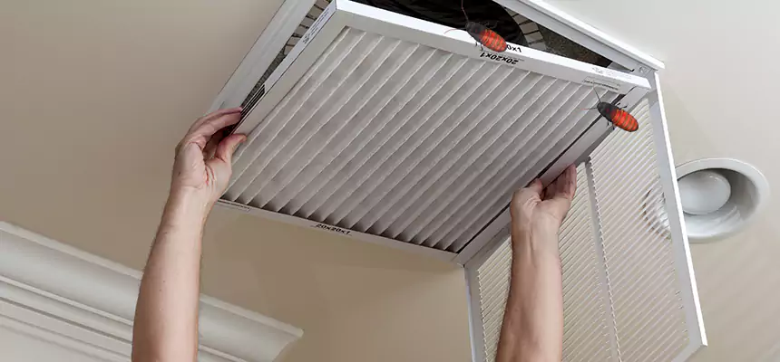 Preventive Cockroach-Proofing for Ducts in Sun Prairie