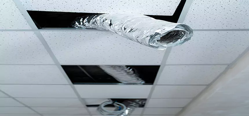 Affordable HVAC Sanitizing After Pest Removal in Sun Prairie