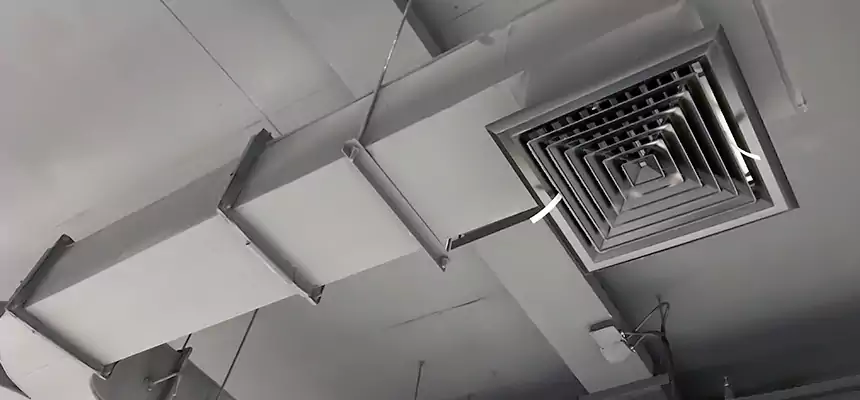 Restorative Allergy Relief Vent Cleaning – Coil, Blower & Housing Detail in Sun Prairie