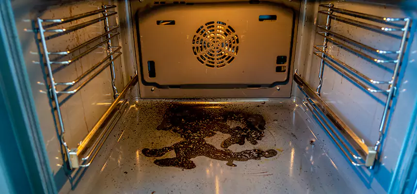 Our Dryer Vent Mold Cleaning Services in Sun Prairie, WI