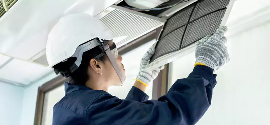 Our Mold & Mildew Removal from Air Ducts Services in Sun Prairie, WI