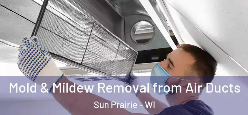  Mold & Mildew Removal from Air Ducts Sun Prairie - WI