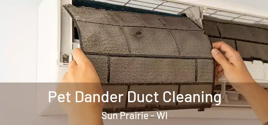 Pet Dander Duct Cleaning Sun Prairie - WI