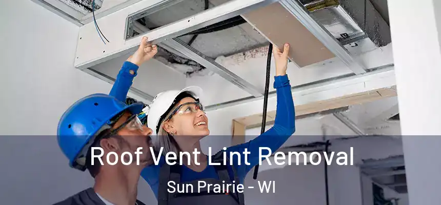  Roof Vent Lint Removal Sun Prairie - WI