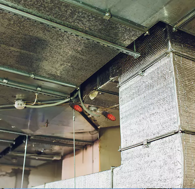 Why Homeowners & Businesses Trust Us Sun Prairie, WI?